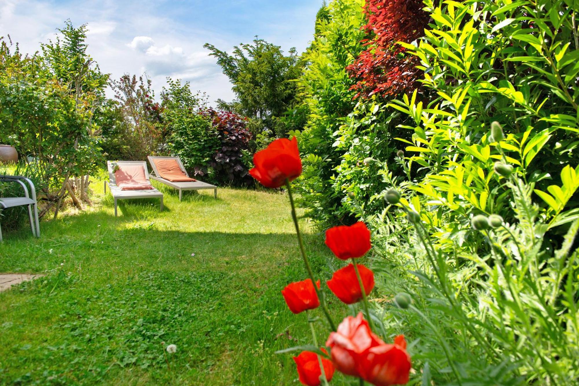 Ferienwohnungen Im Rosengarten ボートマン・ルートヴィヒスハーフェン エクステリア 写真